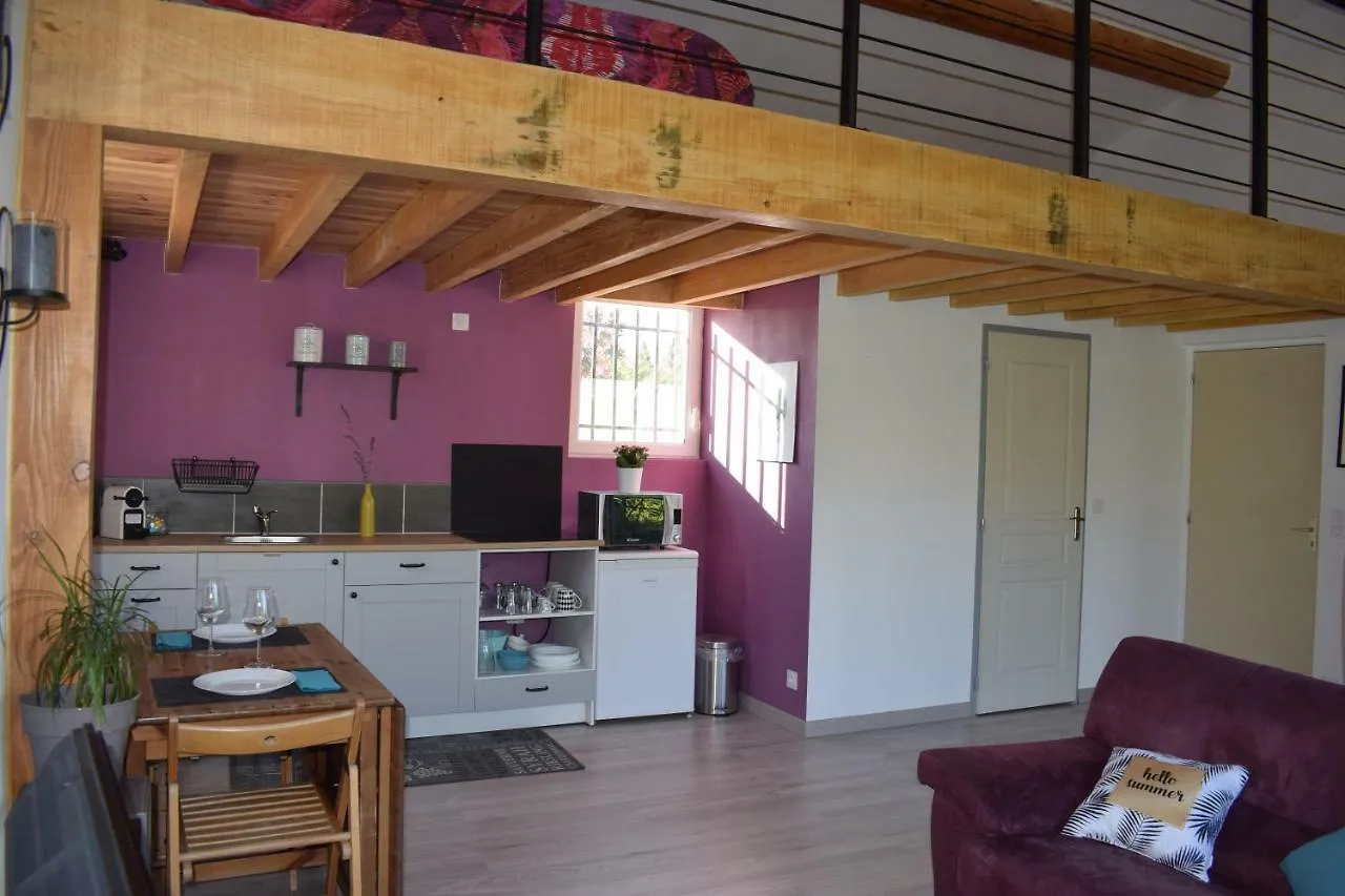 Appartement Loft Le Mistral avec SPA extérieur en saison à Maillane France